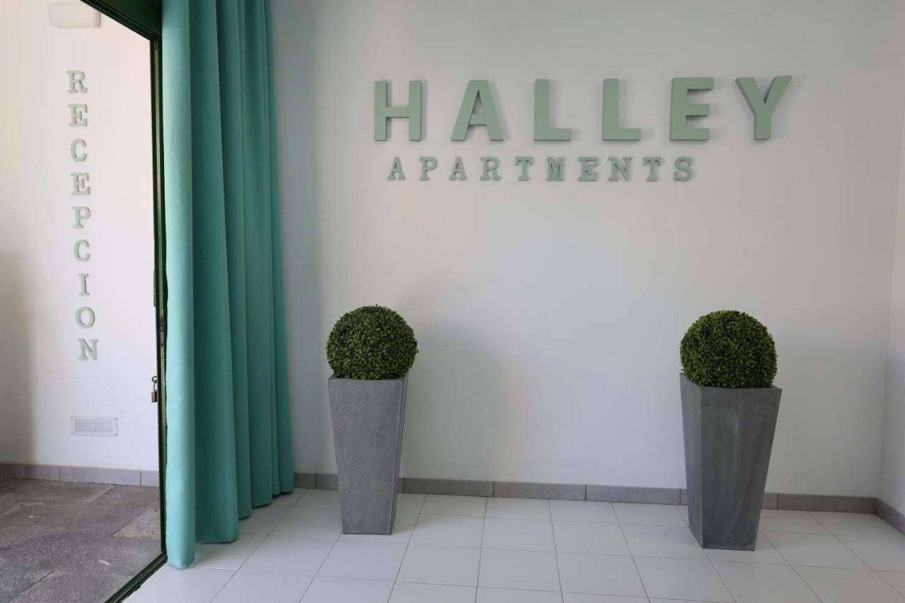 Halley Rooms Mogán 외부 사진